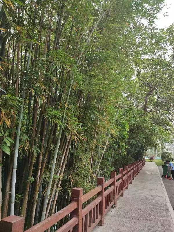 文友兄弟谷雨会诗词五首 文／潘毅 江冲（图12）