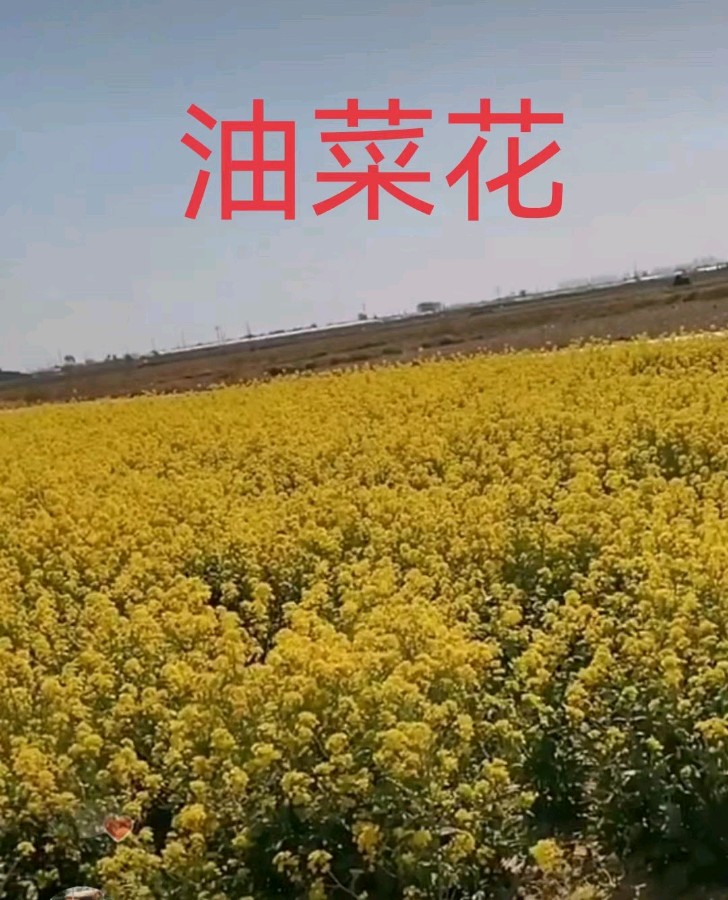联机全球发布高志和诗歌欣赏（图6）