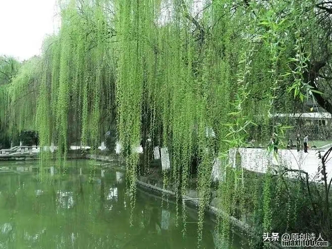 推荐丨许日辉 七绝《谢了林花已暮春》十二首(图5)