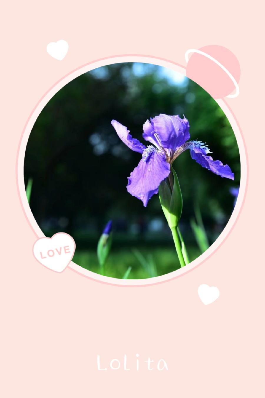 春深不知处(图2)