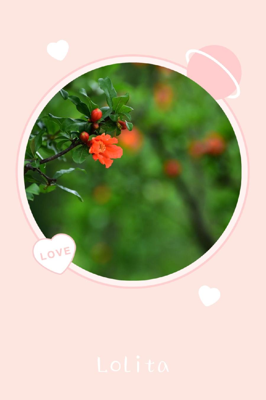 春深不知处(图3)