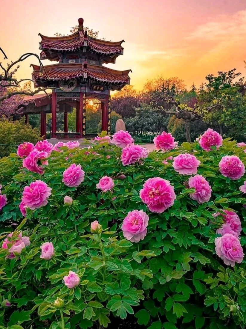 《九江文学社：北京头条》董琦老师近期诗作集萃欣赏（图2）