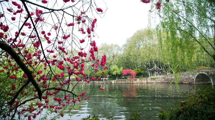 《九江文学社：北京头条》董琦老师近期诗作集萃欣赏（图10）