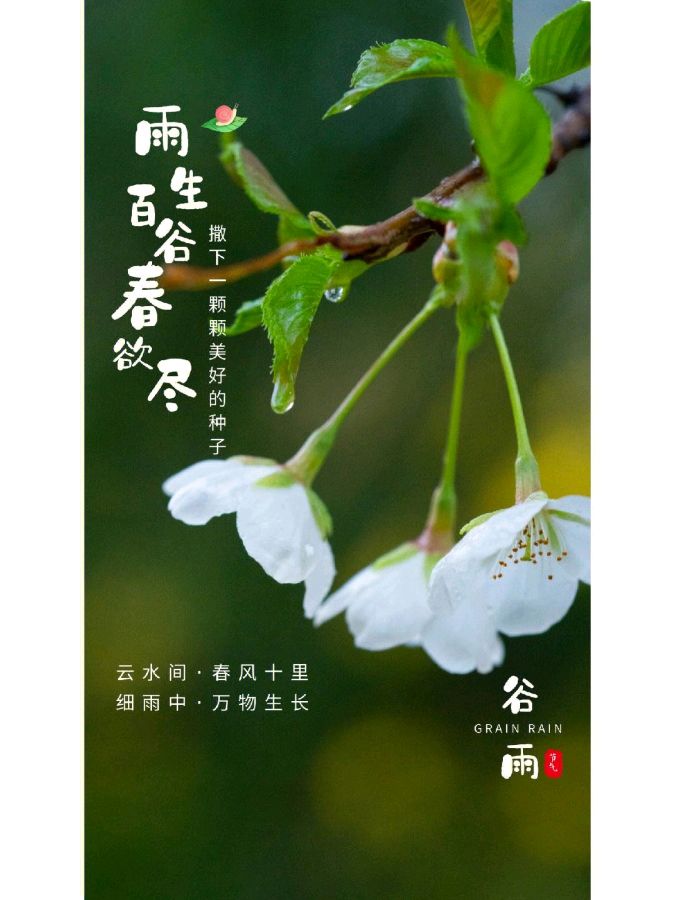 张广新的《谷雨》