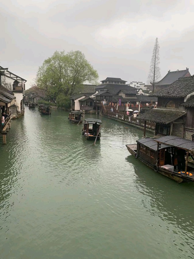 三月的乌镇 作者：肖勤 朗诵：陈群 京津沪头条（图3）