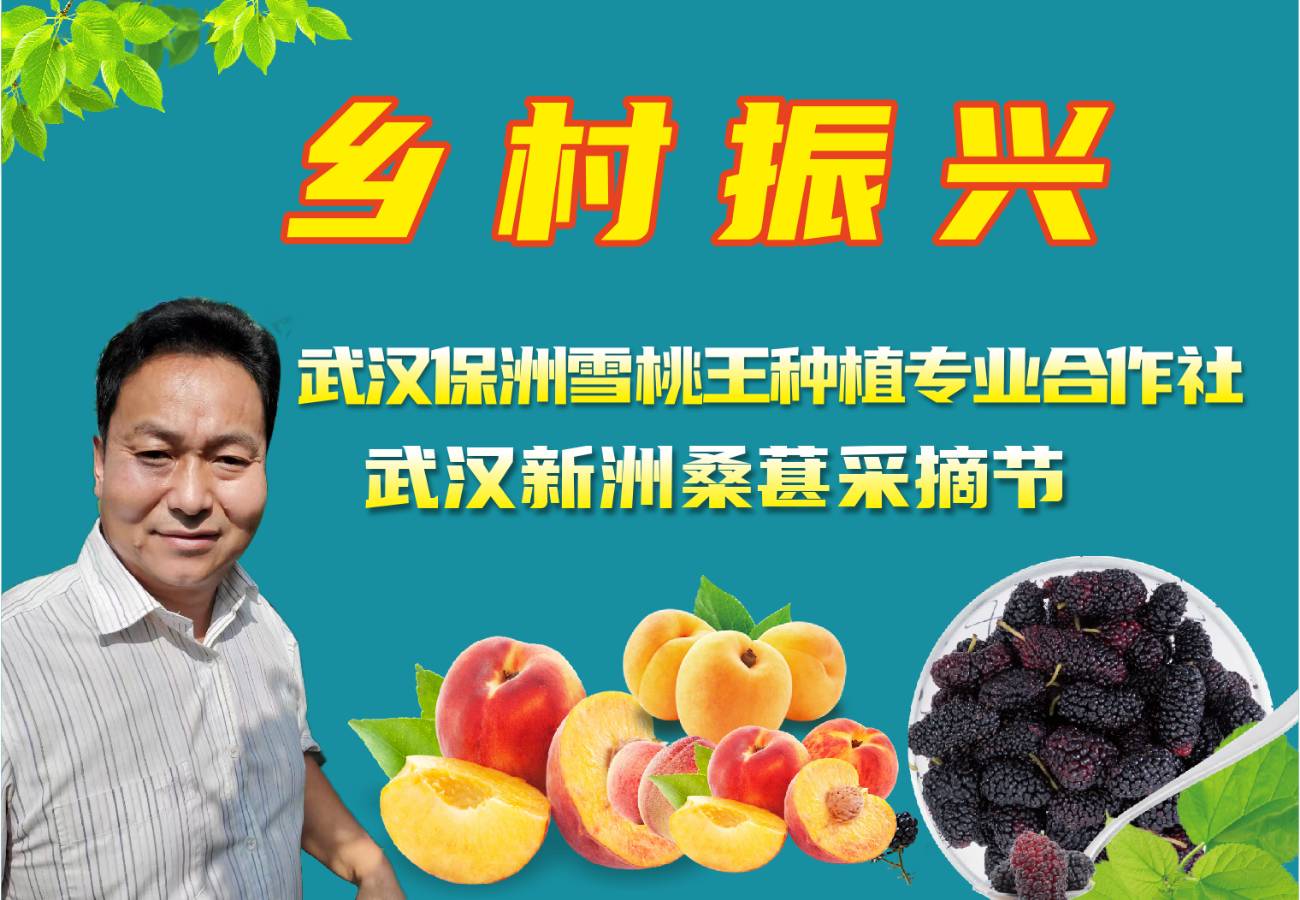发展中的武汉保洲雪桃王种植专业合作社