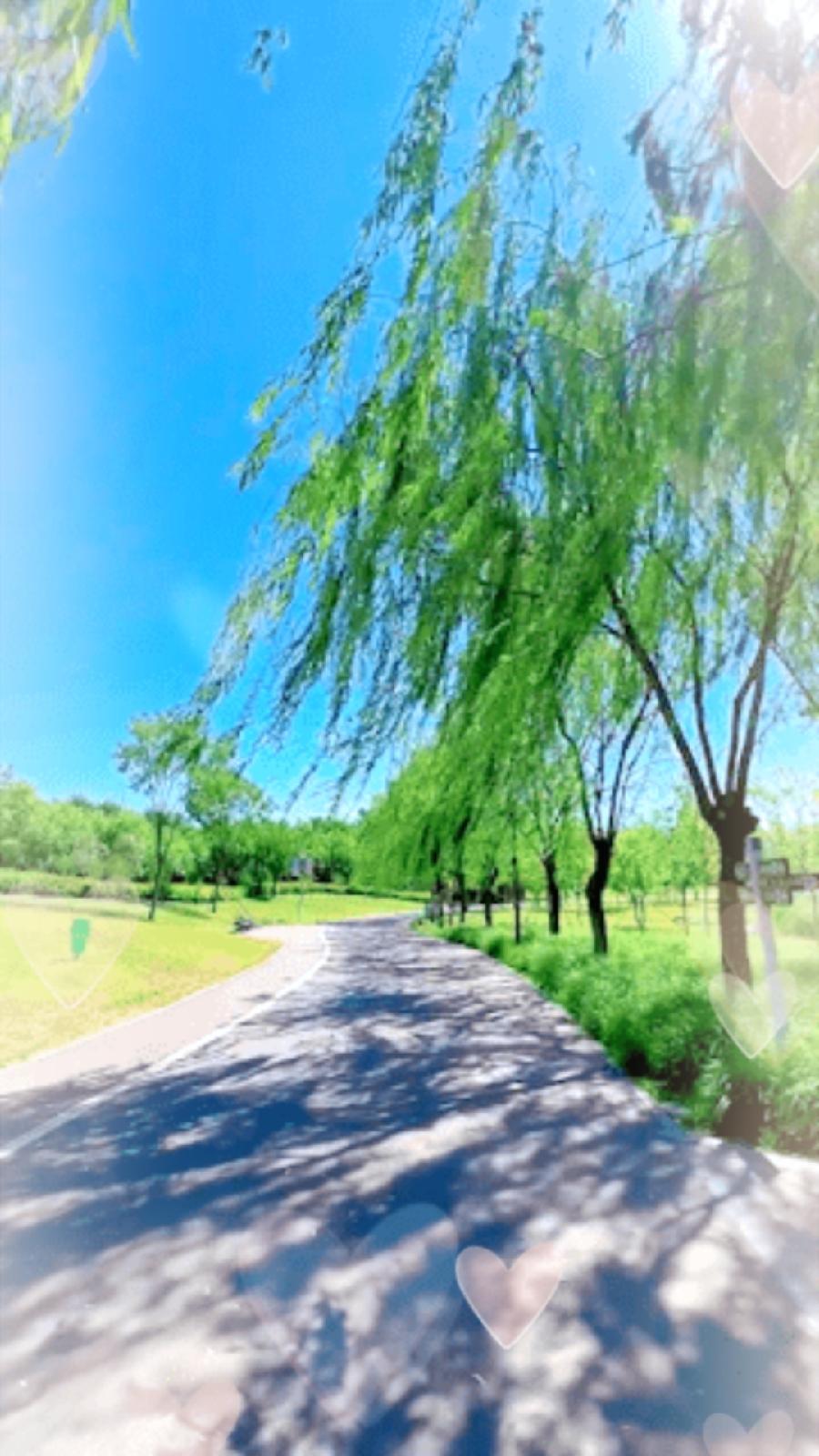 七律•暮春之歌(组诗)文/左书谔(青岛)