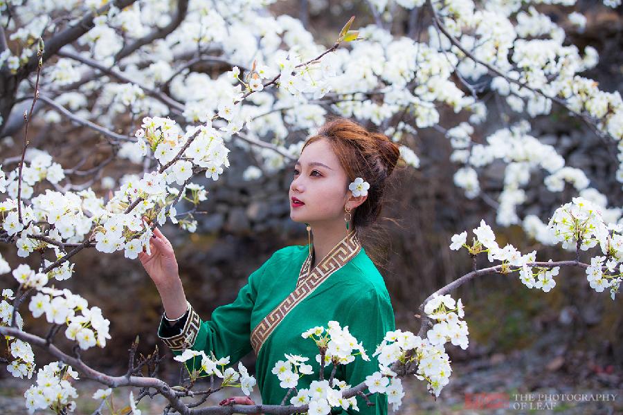 七律•暮春之歌(组诗)文/左书谔(青岛)(图5)