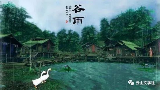 《谷雨》作者:易生诗梦【主播:青苗】【桃源国际诗歌集团】用声音传递温暖以诵读致敬人生♬（图5）