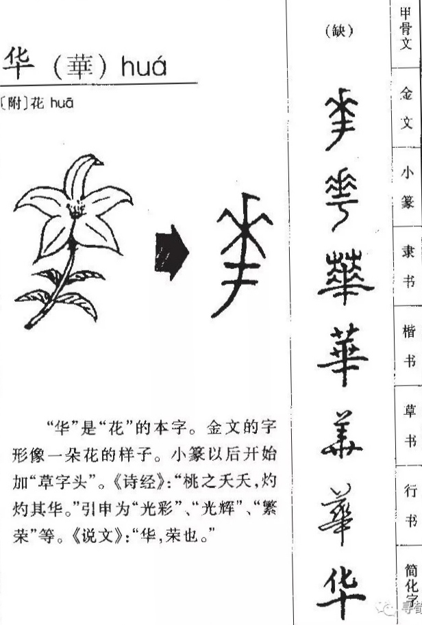 陋室螢光(杂谈一)文/江冲(图4)