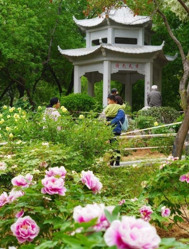 赵国伟歌词《烤热一方水土》主播：瑞雪丰年；编辑：小鱼儿 【秦岛韵声】（第1041期）（图3）