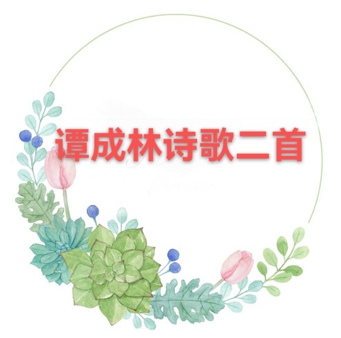 谭成林诗歌二首