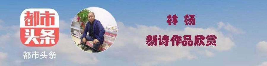 中华诗艺黑龙江分社推介/诗人林杨(黑龙江):婆婆丁(外二首)（图5）