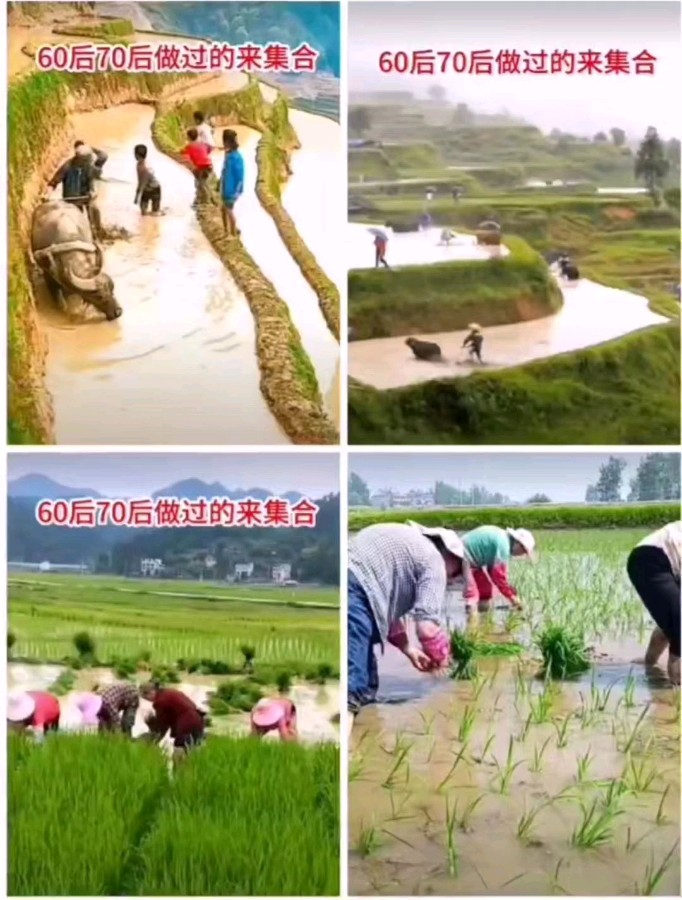 中华诗艺黑龙江分社●诗书画微刊(第61期)(图31)