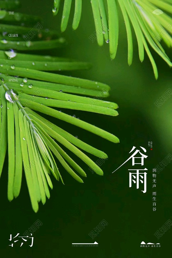 中华诗艺黑龙江分社推介/诗人林杨(黑龙江):婆婆丁(外二首)（图11）