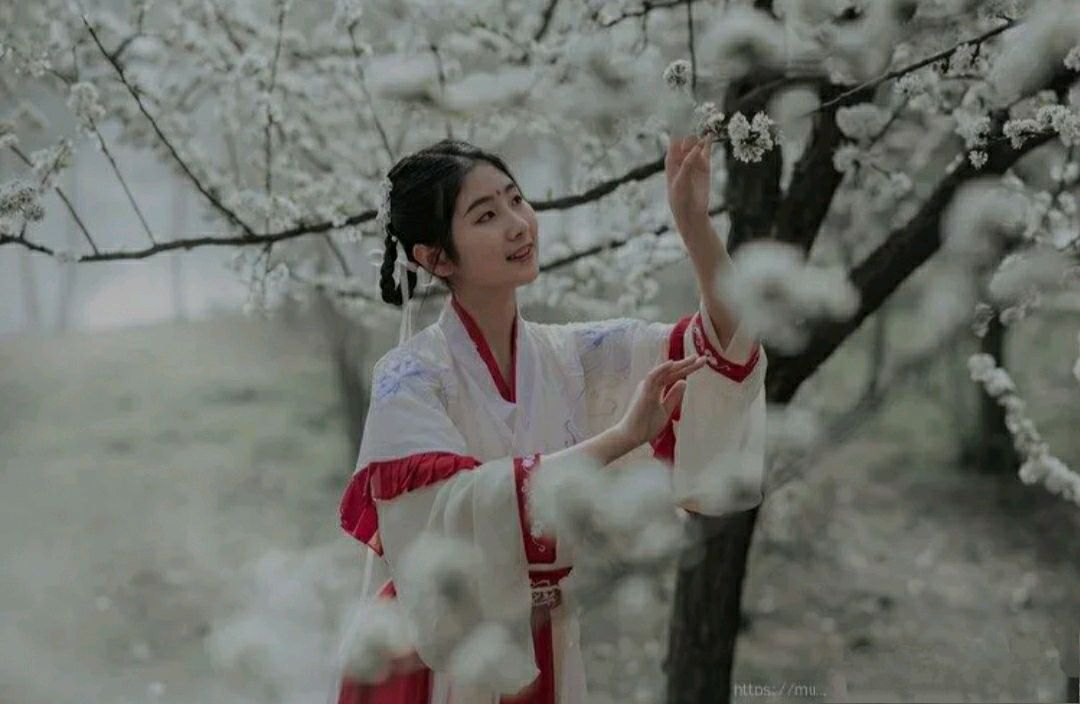 【华夏周刊】第138期合辑（图4）