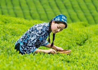 联机全球发布吴华龙作品欣赏（图5）