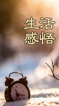 【总第1546期】《九江文学社:北京头条》金夜老师佳作欣赏(图2)