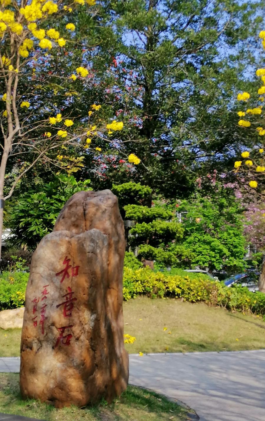 陋室螢光(杂谈二)文/江冲(图2)