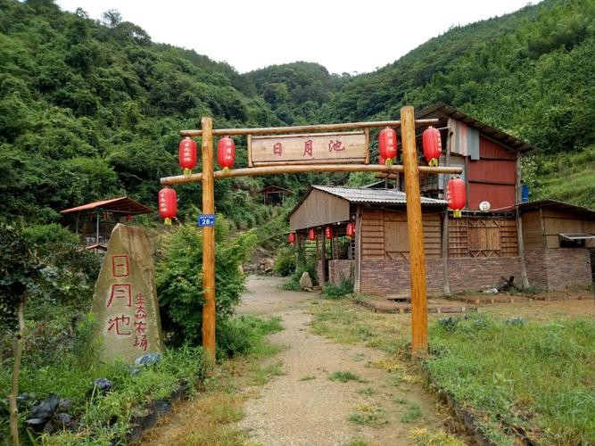 【经典推荐】张燕良老师//2023年春期《紫金诗联》作品展（图10）