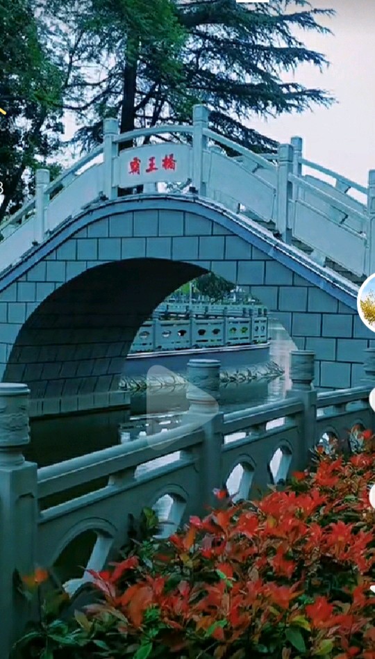 心尘文艺 第891期(孤雁格)