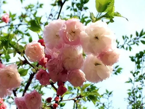 七绝：月下时（图3）