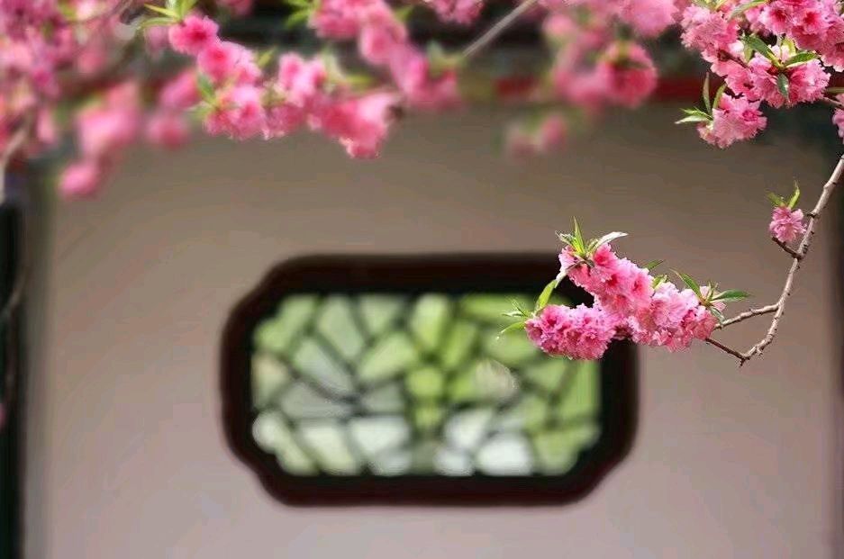 墨海文香原创合集(第17期)《墨海文香》内蒙古赤峰市《都市头条》弘扬国学(原创音频)(图21)