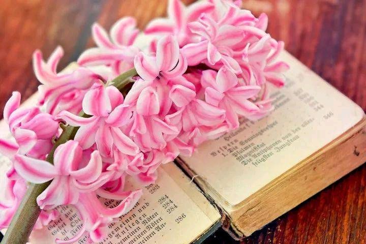 段誉播讲【最大的资本，是骨子里的教养】（第二期）作者/梅姨（图3）