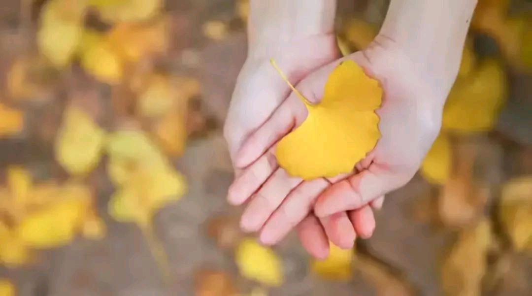 段誉播讲【最大的资本，是骨子里的教养】（第二期）作者/梅姨（图8）
