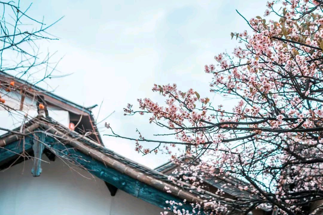 墨海文香原创合集(第17期)《墨海文香》内蒙古赤峰市《都市头条》弘扬国学(原创音频)(图68)