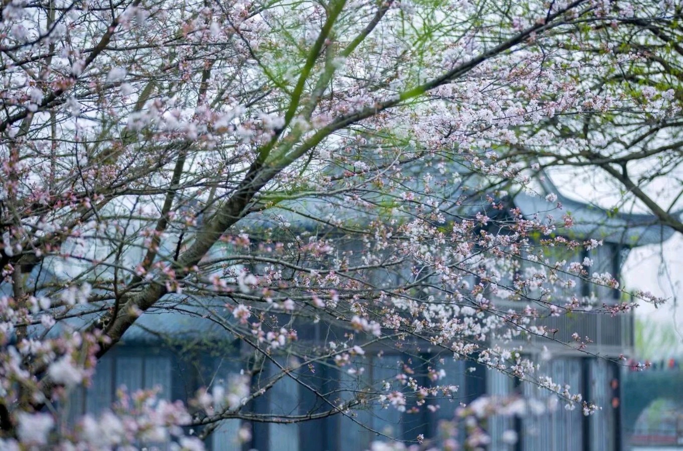 墨海文香原创合集(第17期)《墨海文香》内蒙古赤峰市《都市头条》弘扬国学(原创音频)(图75)