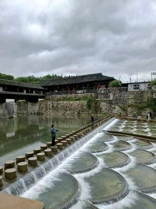 杨林诗会马渡采风诗词进村活动:司秦诗词专题(八首)(图5)