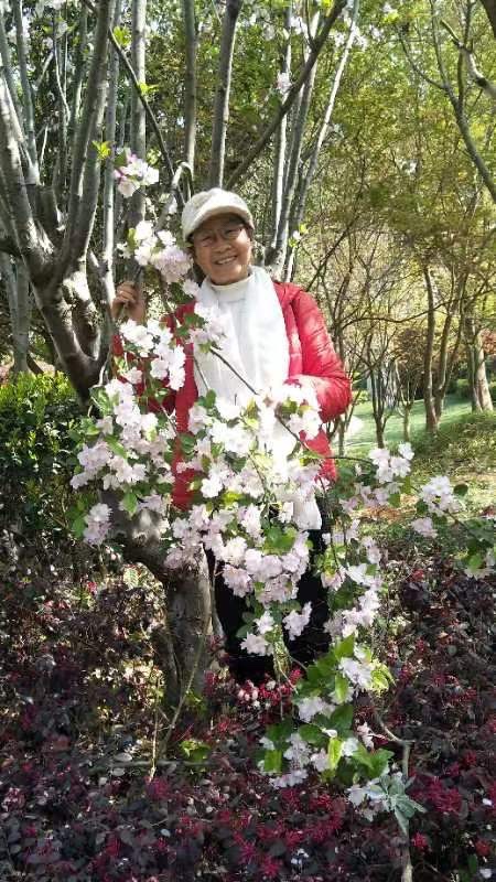 《第七届世界最美爱情诗大赛》作品全球展（93）晏新【澳洲总社】荐稿（图3）