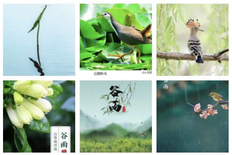 张晓峰〔重庆〕诗词专辑【冰心文化传媒】主编 冰心（图6）