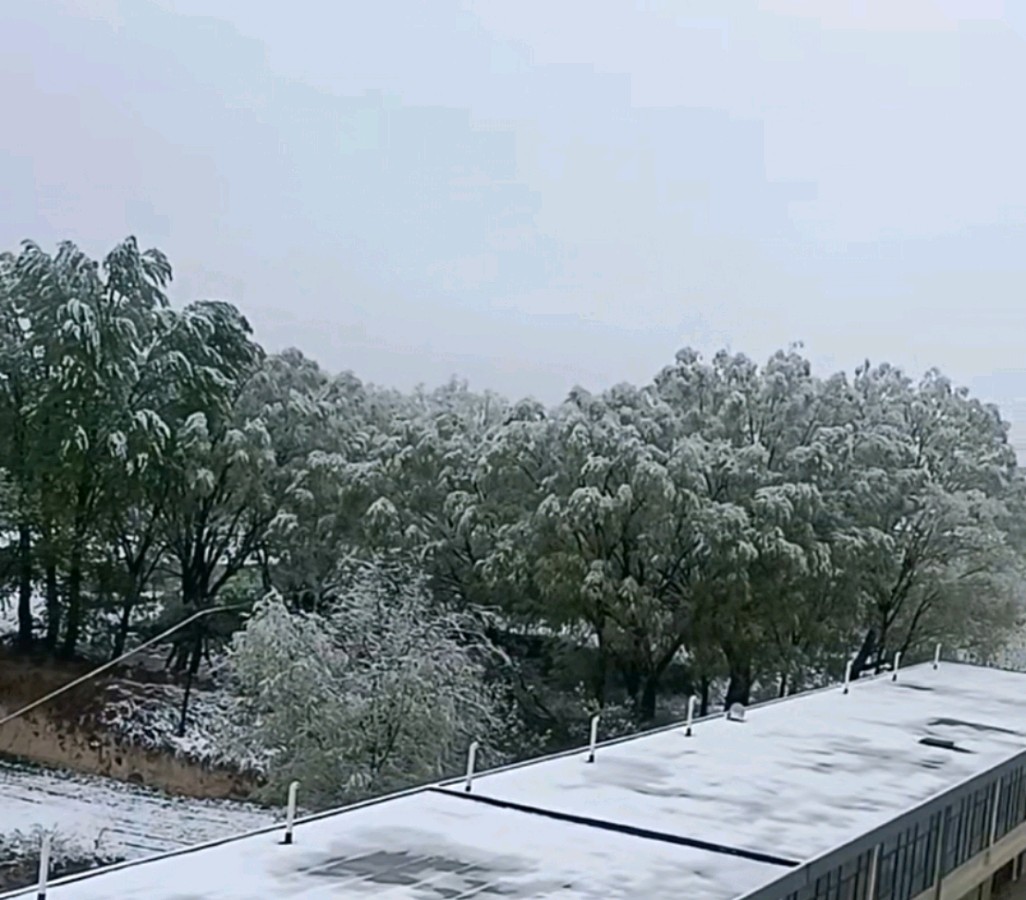 四月雪（外二首）文/红叶〔甘肃〕【冰心文化传媒】主编 冰心（图3）