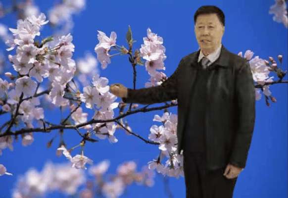 【中国长江文学社】《七绝.老来乐》作者：李振声//主播 缈邈//编辑 岁月静好 第6605期（图7）