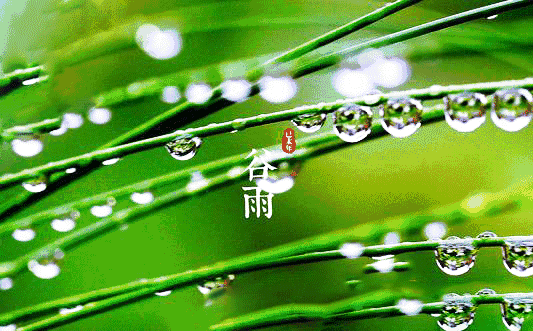 冰心文化传媒隆重推出 胡向前〔湖北〕*诗词专辑七* 主编 冰心（图23）