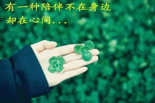 冰心文化传媒隆重推出 胡向前〔湖北〕*诗词专辑七* 主编 冰心（图29）