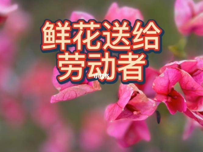 【新山东文学社】《鲜花献给劳动者》作者/李振声 主播/远方（图7）