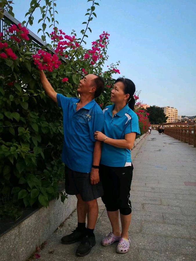联机全球发布绿色港湾作品欣赏（图6）