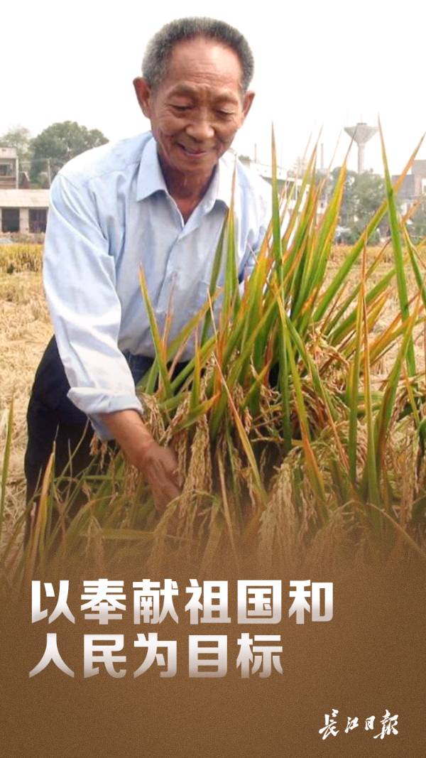 王世金(大连）诗词小辑【冰心文化传媒】主编 冰心（图3）
