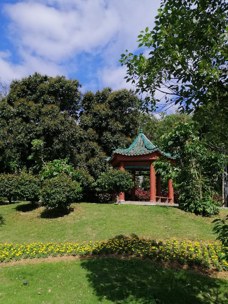 七律 感怀（外三首）文／张昕（图14）