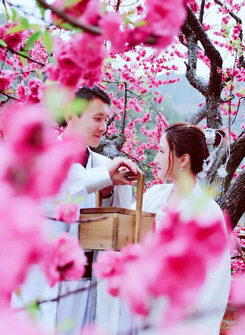 【新山东文学社】《桃花缘》作者/ 春韵 主播/菊心拾雨（图5）
