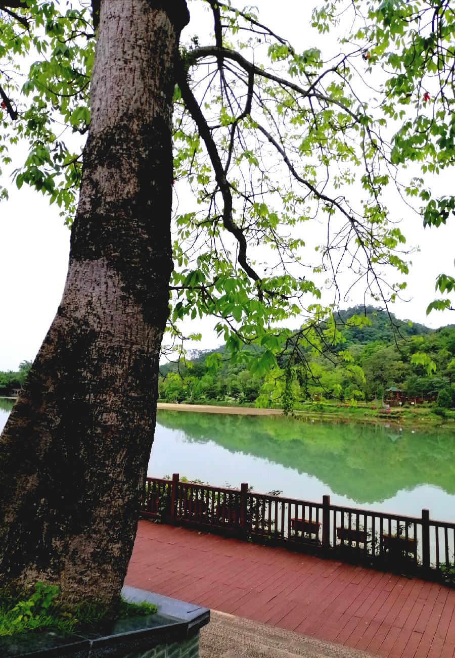 陋室螢光(杂谈三)文/江冲(图3)