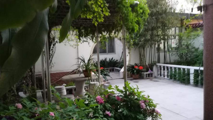 小院春色 文/高建文(图2)