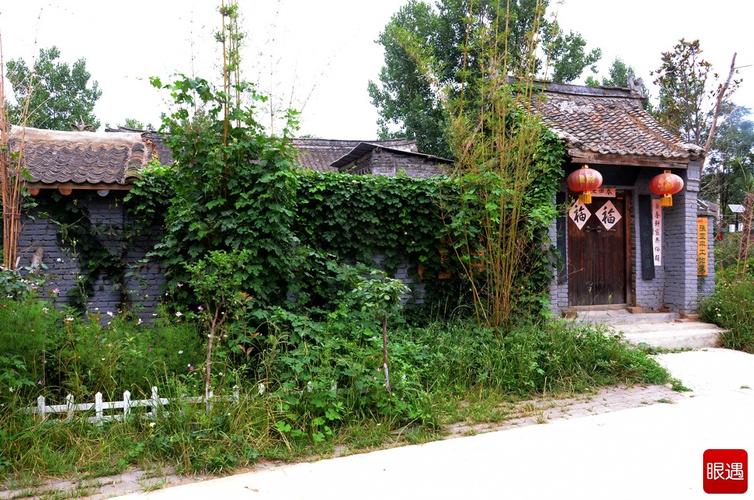 小院春色 文/高建文(图4)