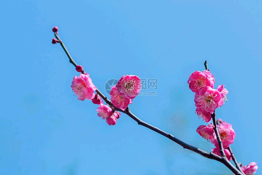 七律. 五一节感吟（外六首）李道成（武汉）【冰心文化传媒】（图9）