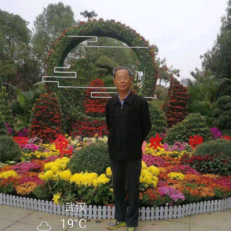 七律. 五一节感吟（外六首）李道成（武汉）【冰心文化传媒】（图10）