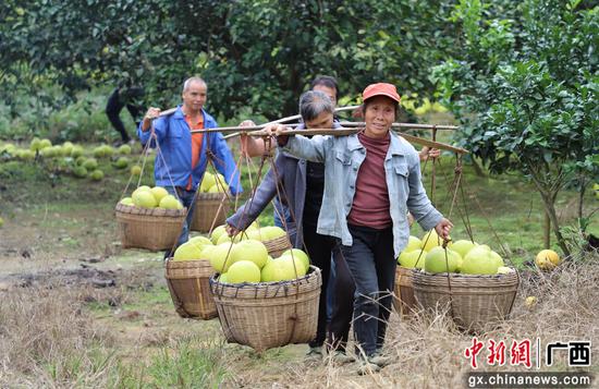 劳动者之歌‖巴彦诗协诗词联卷【515】(图8)