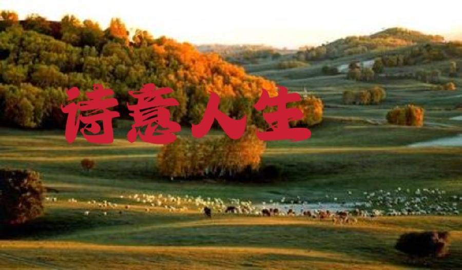 【经典推荐】鲁坡//人生真谛在追求｛外三首｝（图6）